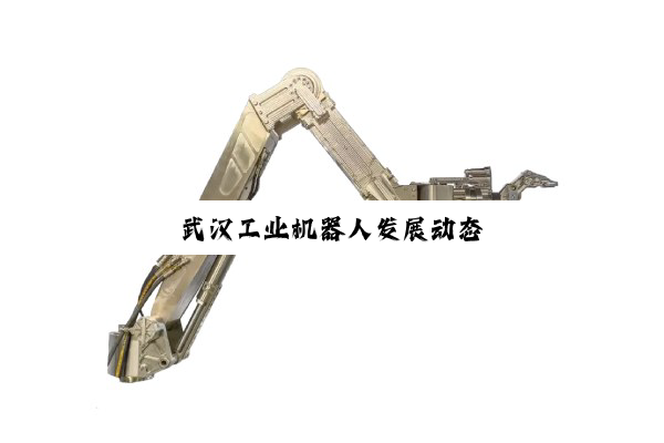今日科普|武汉工业机器人发展动态